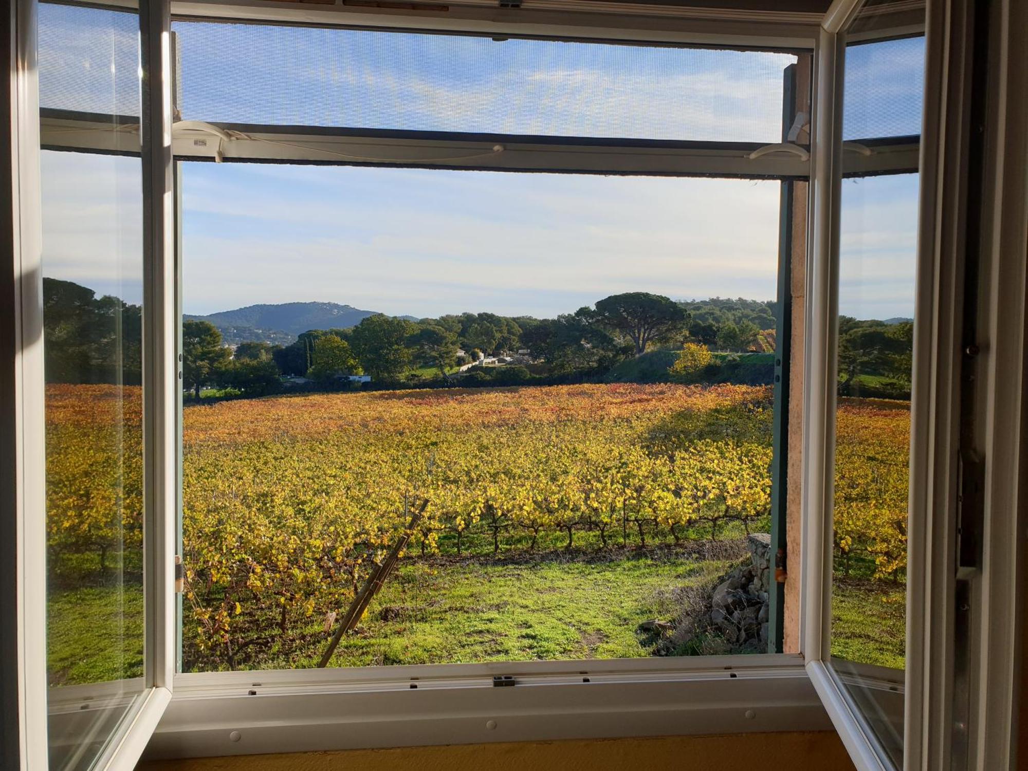 Domaine De La Navicelle Βίλα Le Pradet Εξωτερικό φωτογραφία