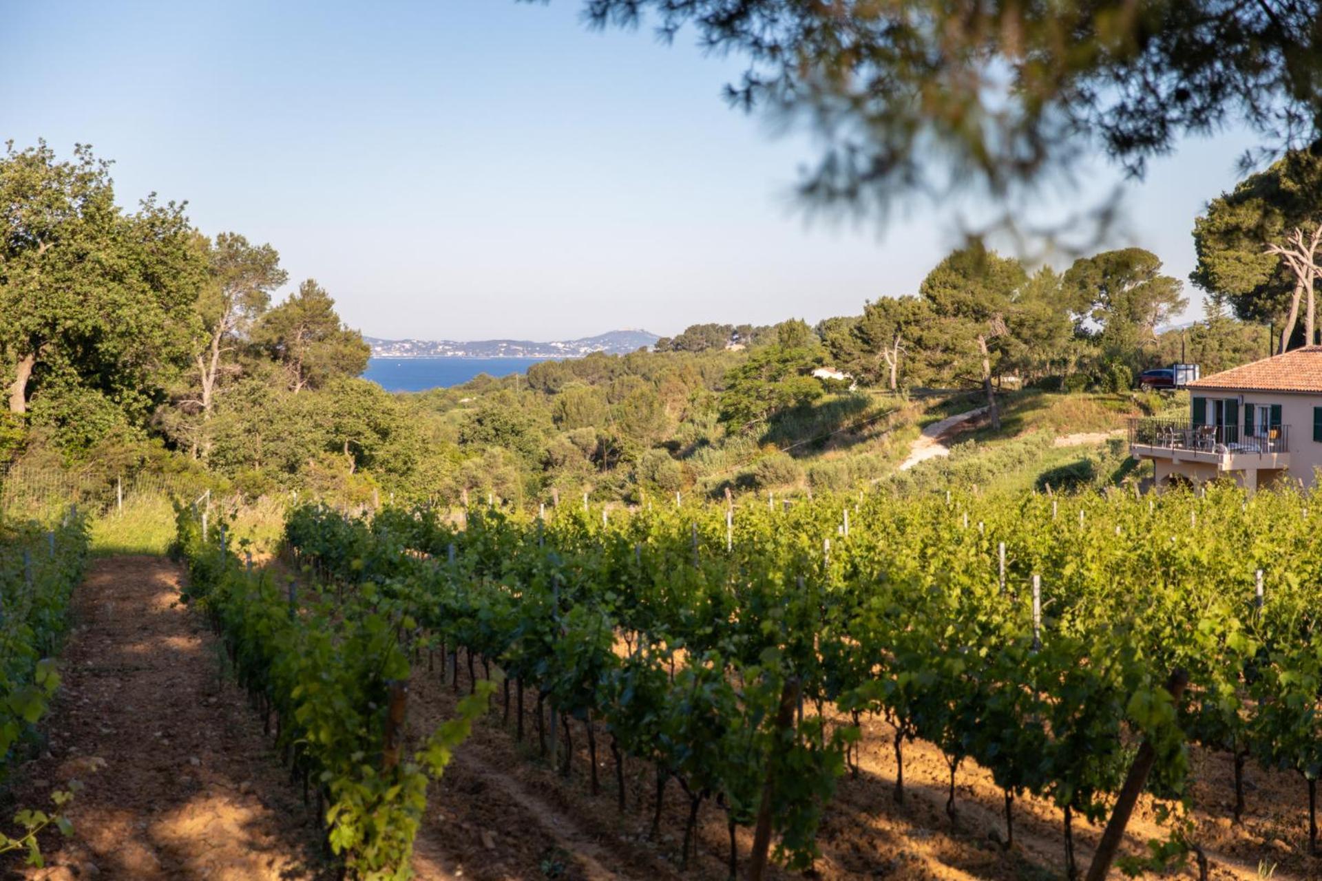 Domaine De La Navicelle Βίλα Le Pradet Εξωτερικό φωτογραφία