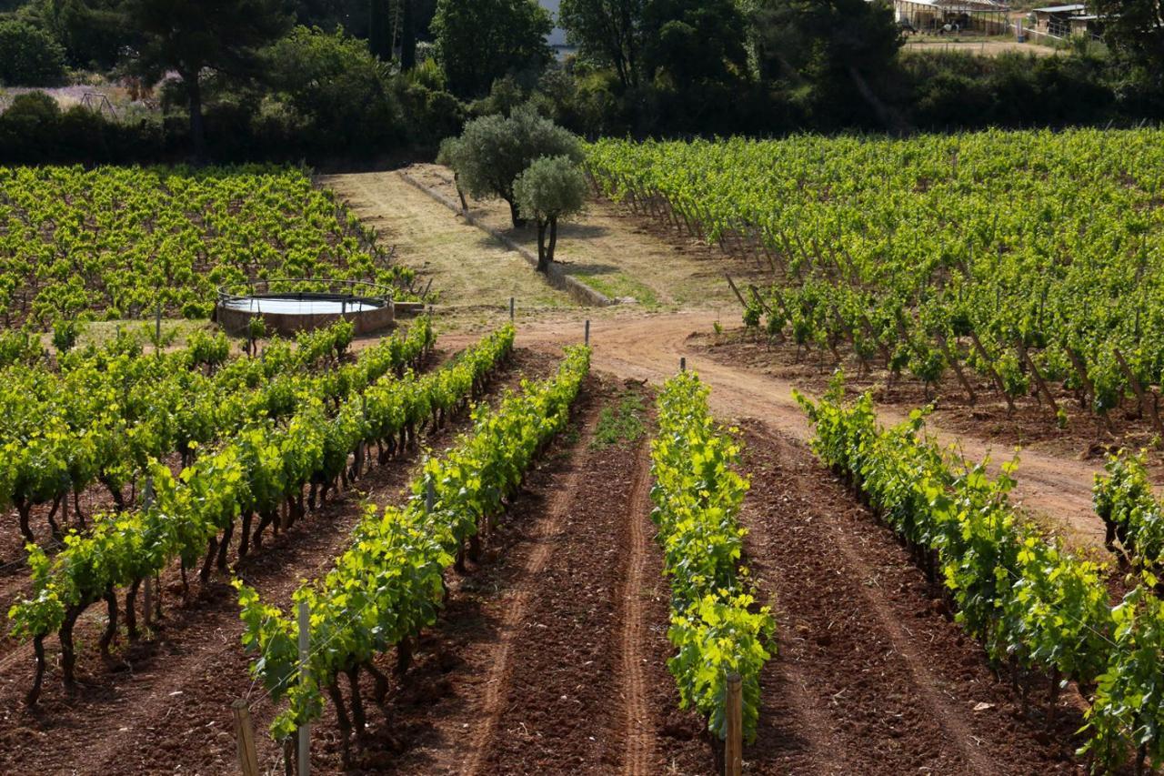 Domaine De La Navicelle Βίλα Le Pradet Εξωτερικό φωτογραφία